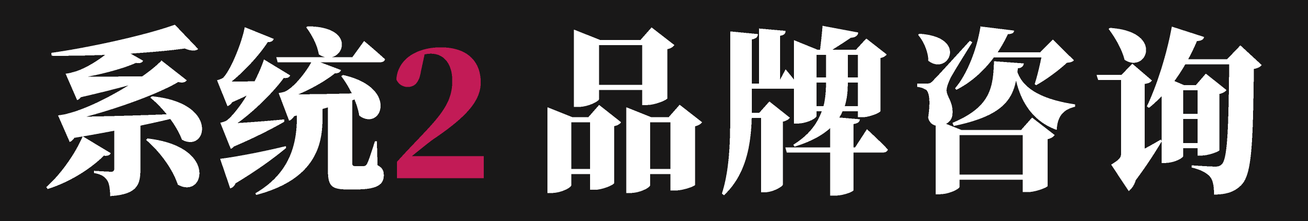 系统2 品牌咨询