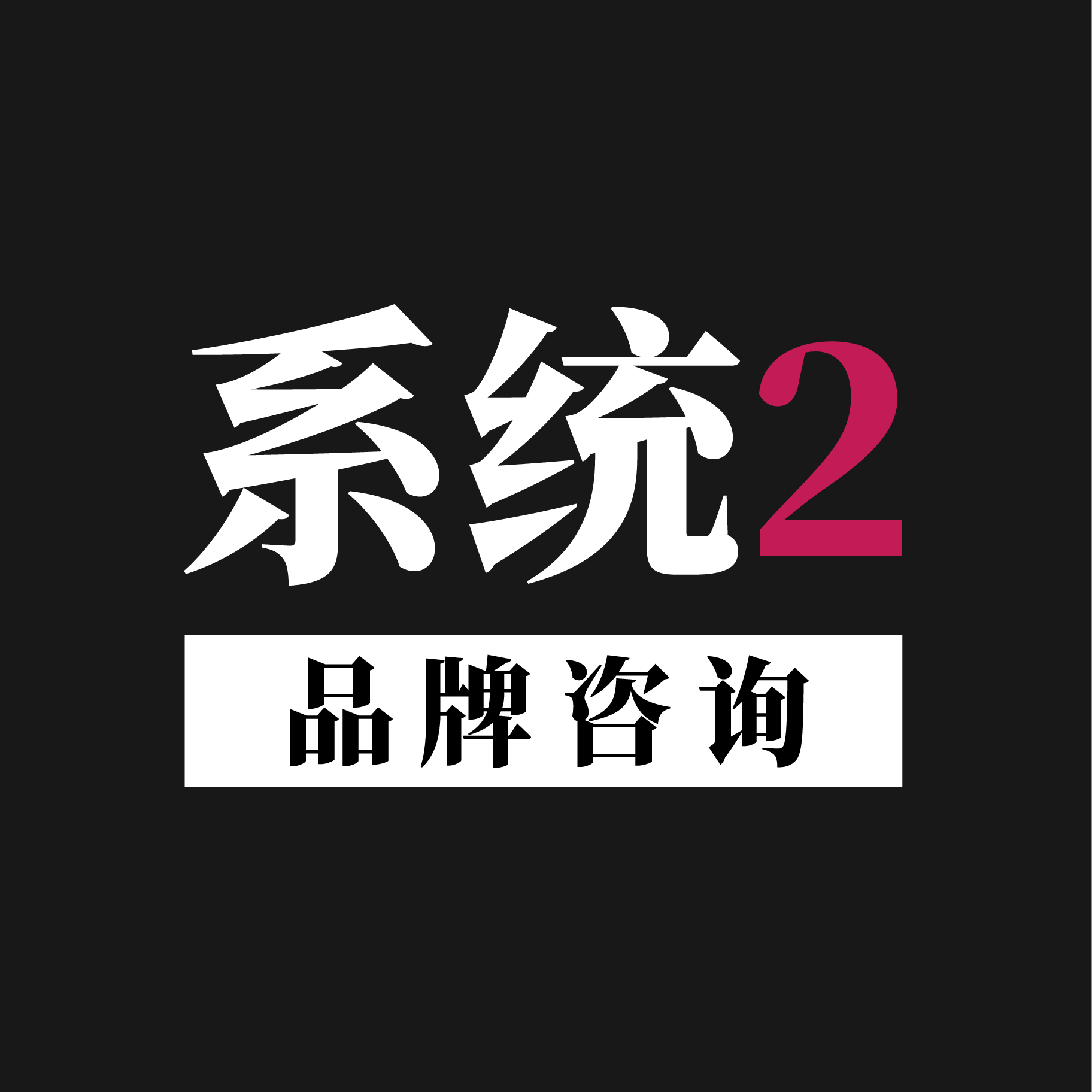 系统2 品牌咨询